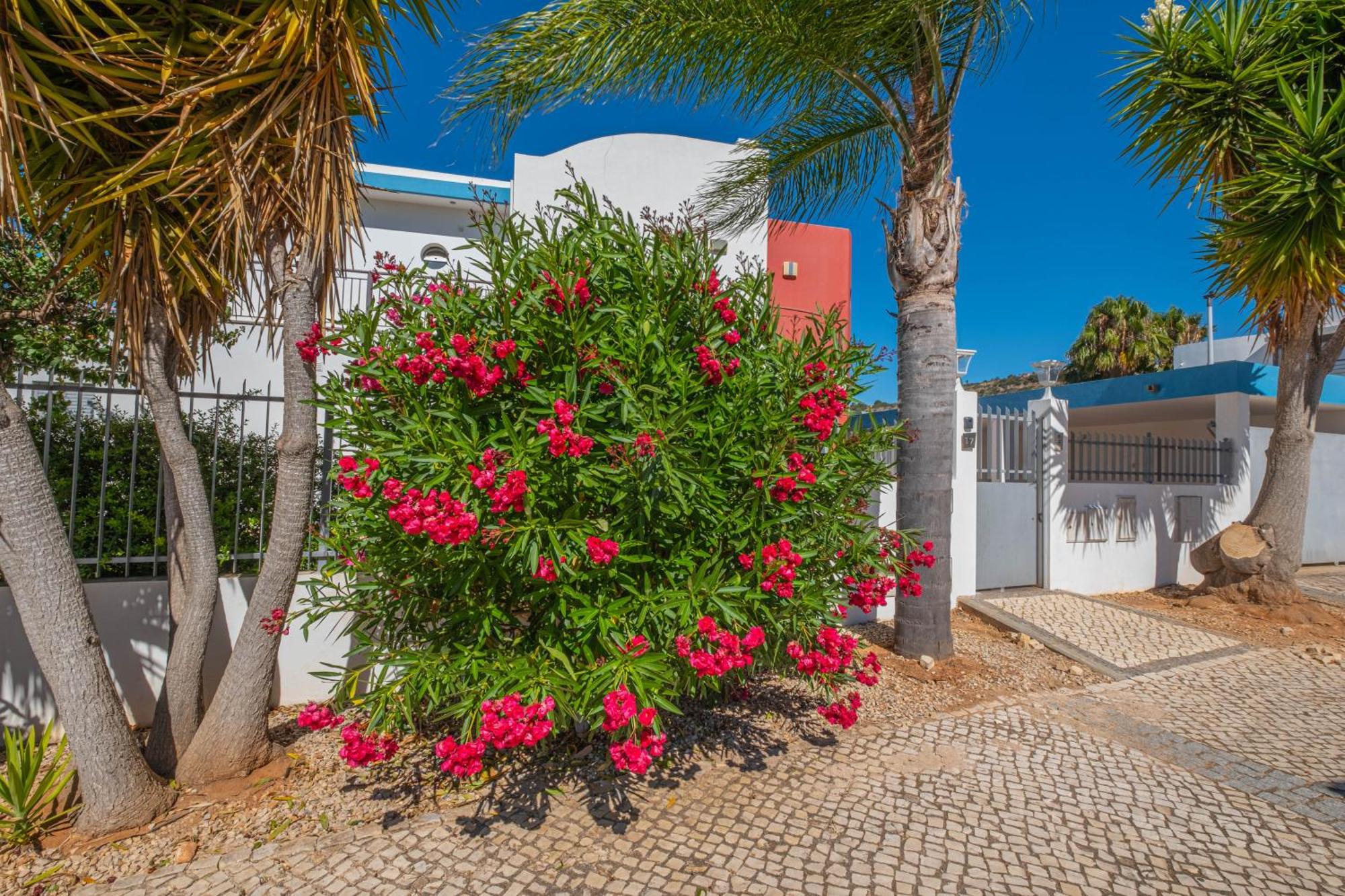Capetown Marina Luxury Villa - Private Pool Albufeira Bagian luar foto